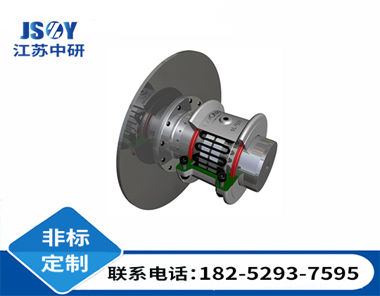 T63帶制動盤型蛇簧聯軸器